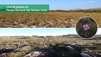 Catálogo de Plantas das UCs do Brasil divulga primeira lista para campos rupestres da Cadeia do Espinhaço: PARNA Sempre-Vivas
