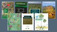 CNCFlora lança sete publicações para orientar e implementar ações de conservação