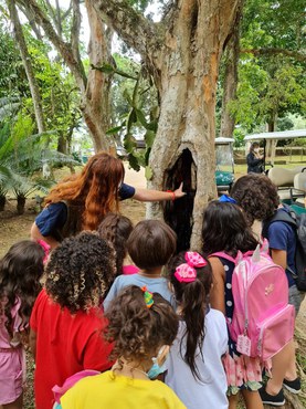 WhatsApp Image 2021-10-27 at 14.27.05.jpeg