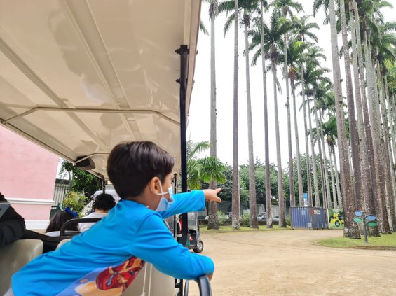 WhatsApp Image 2021-10-27 at 14.47.48.jpeg