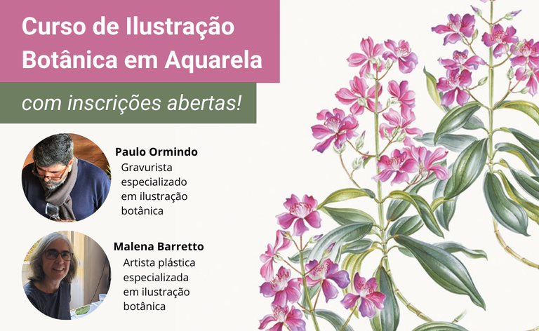 Curso de Ilustração Botânica em Aquarela
