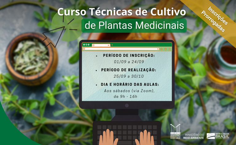 Técnicas de Cultivo de Plantas Medicinais