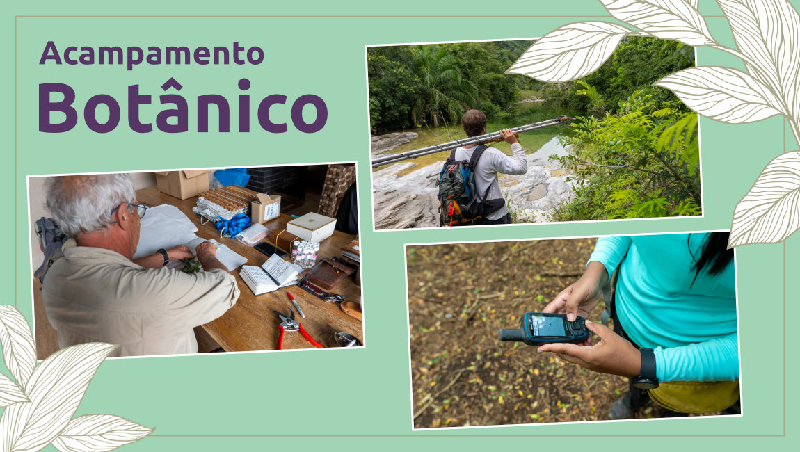 No Dia Nacional da Botânica - 17/4, venha conhecer um acampamento científico que reproduz a experiência de uma expedição de campo