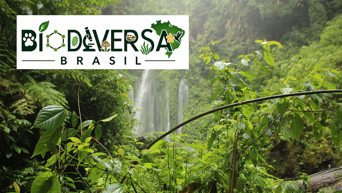 Edital de seleção de bolsistas para atuação no âmbito do Projeto BiodiversaBrasil recebe inscrições até 19/5