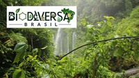 Edital de seleção de bolsistas para atuação no âmbito do Projeto BiodiversaBrasil recebe inscrições até 19/5