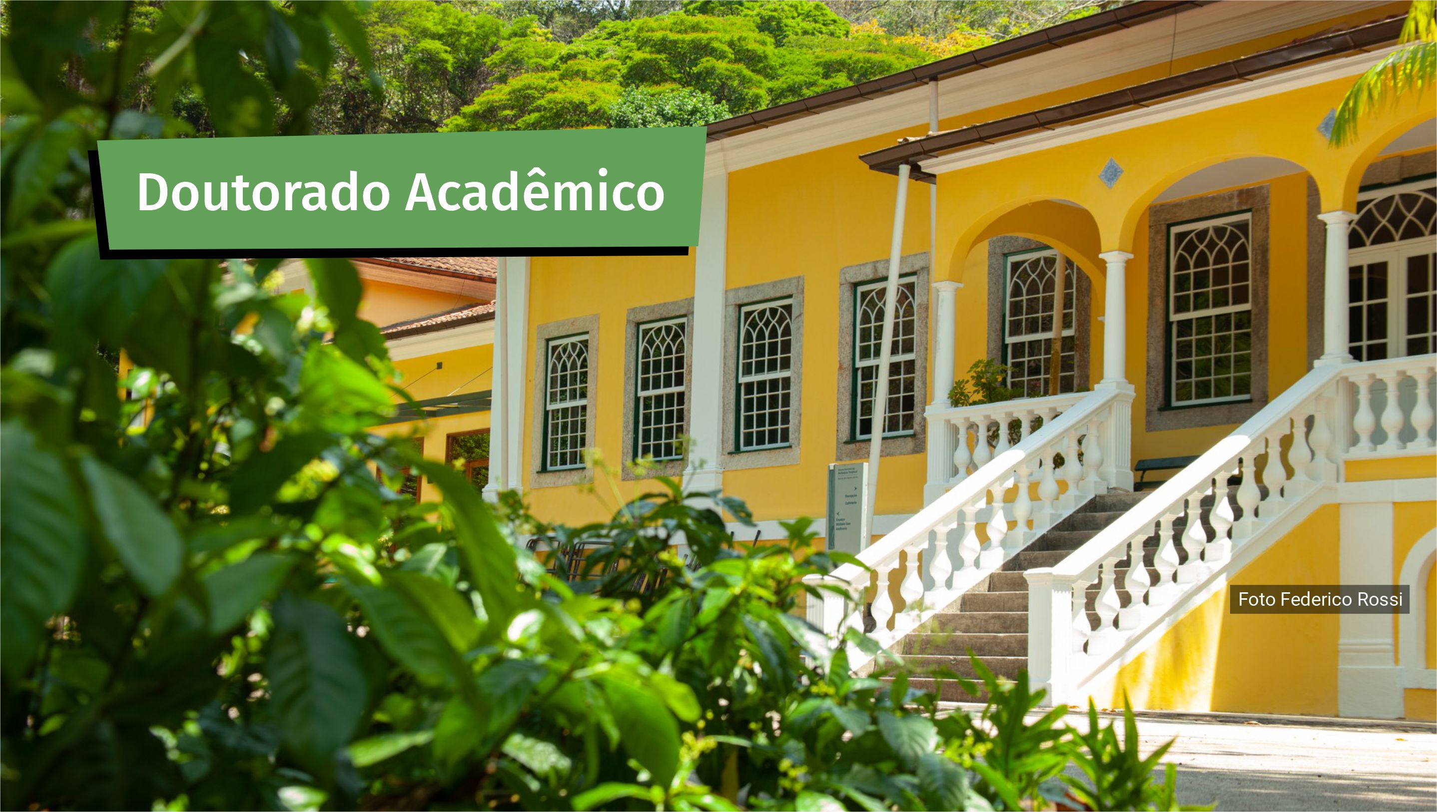 Edital de Seleção de Candidatos para ingresso no ano de 2026 no curso de Doutorado em Botânica