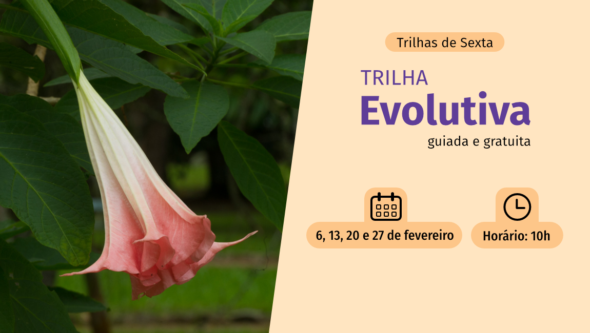 Em homenagem a Charles Darwin, trilha no Jardim Botânico do Rio apresenta a evolução das plantas