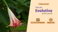 Em homenagem a Charles Darwin, trilha no Jardim Botânico do Rio apresenta a evolução das plantas