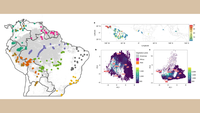 Estudos publicados na Nature aprofundam conhecimento sobre as florestas tropicais