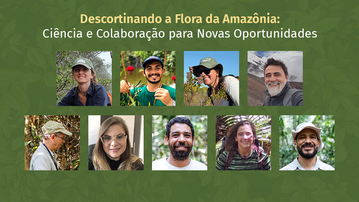 JBRJ, ICMBio e NYBG promovem evento sobre conhecimento, conservação e uso sustentável da flora amazônica em 10/11