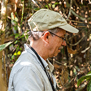 Douglas Daly (NYBG)