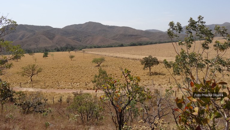banner pan-bat ação 1-1