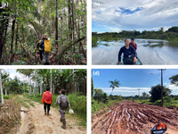Expedição no coração da Amazônia e na Mata Atlântica investiga as interações socioecológicas do açaí