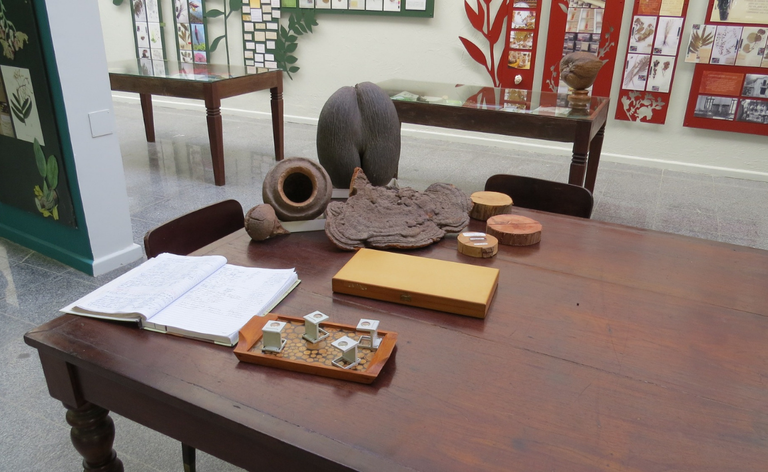 Exposição Herbário1