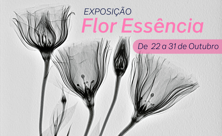 Flor Essência