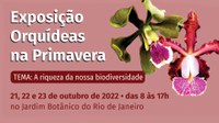 Exposição Orquídeas na Primavera começa na sexta-feira, 21/10