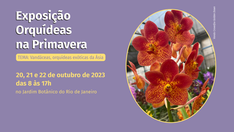 banner orquidea 2023.png