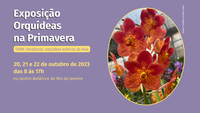 Exposição Orquídeas na Primavera começa nesta sexta, 20/10, tendo as Vandas como destaque