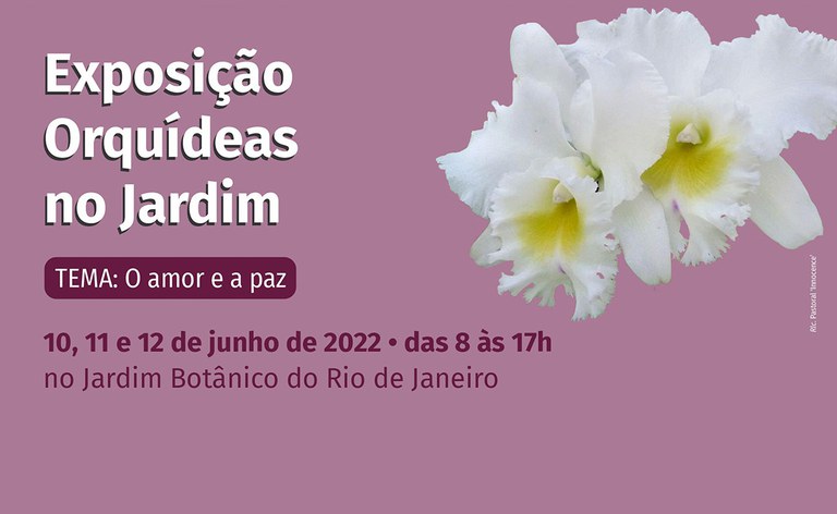 banner_orquidario.jpg