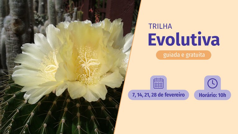 banner da Trilha evolutiva 2025
