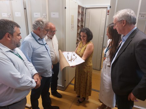 Visita Finep ao Herbario