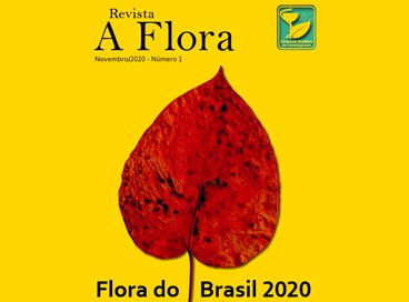 Capa da revista A Flora nº 1