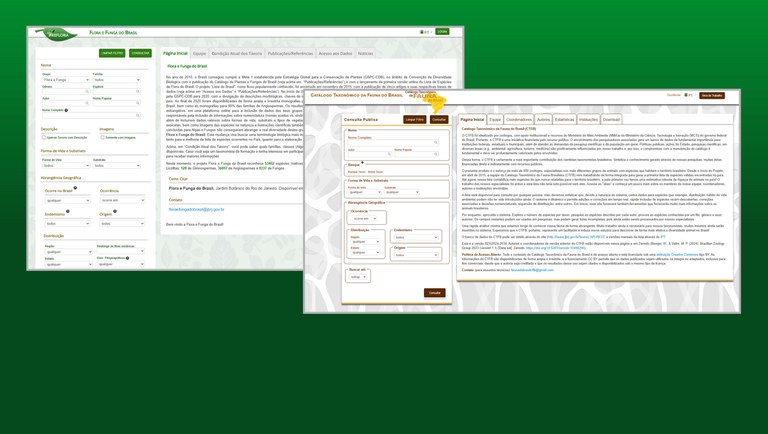 banner global names verifier2