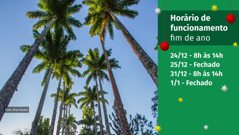 banner fim de ano.jpg