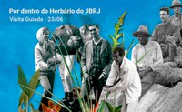 Herbário comemora 132 anos com visita guiada
