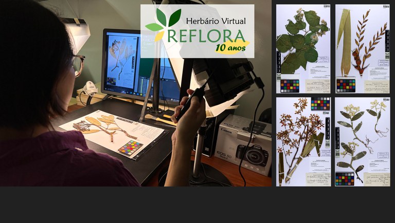 banner exsicata Viena.jpg