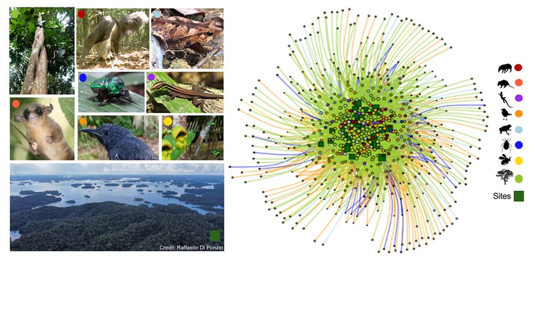 banner_ilhas florestais.jpg