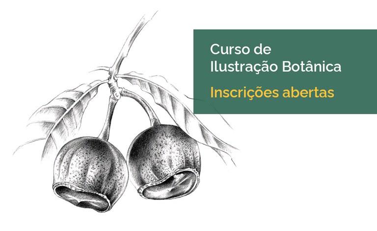 ilustracao-botanica_banner_site.jpg