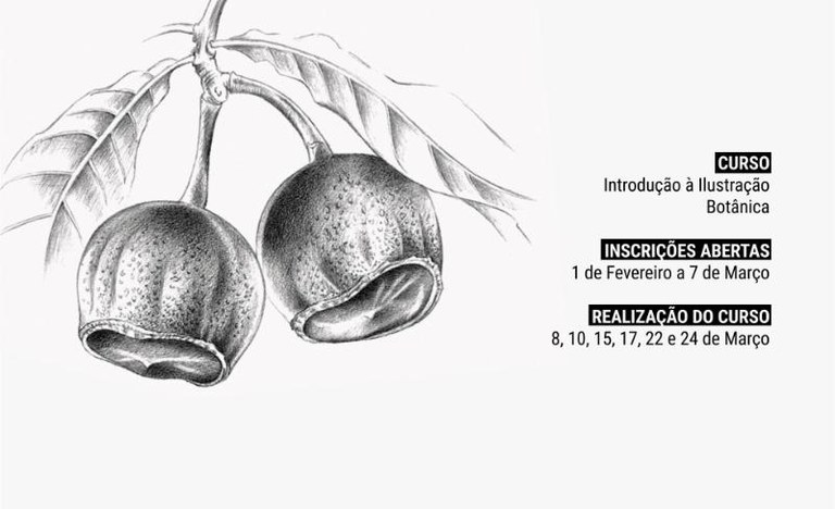 Curso Ilustracao 2022