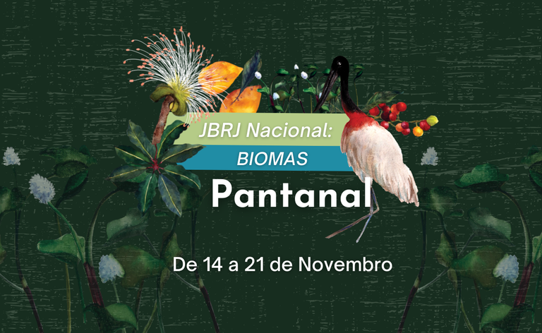 Semana Pantanal