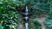 Jardim Botânico do Rio comemora o Dia da Água com trilha no arboreto e dinâmica educativa