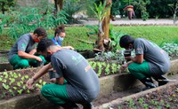 Jardim Botânico do Rio de Janeiro abre seleção para projetos de Iniciação Científica e Florescer destinados a jovens da rede pública de ensino e baixa renda