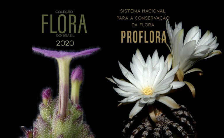 Conservação de Plantas