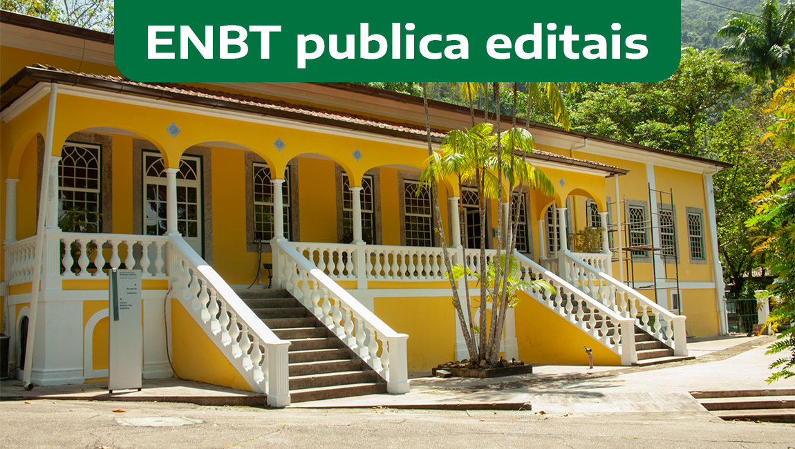 Jardim Botânico do Rio de Janeiro divulga editais de Mestrado e Doutorado profissionais