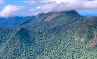 Jardim Botânico do Rio de Janeiro participa de expedição a região inexplorada da Amazônia