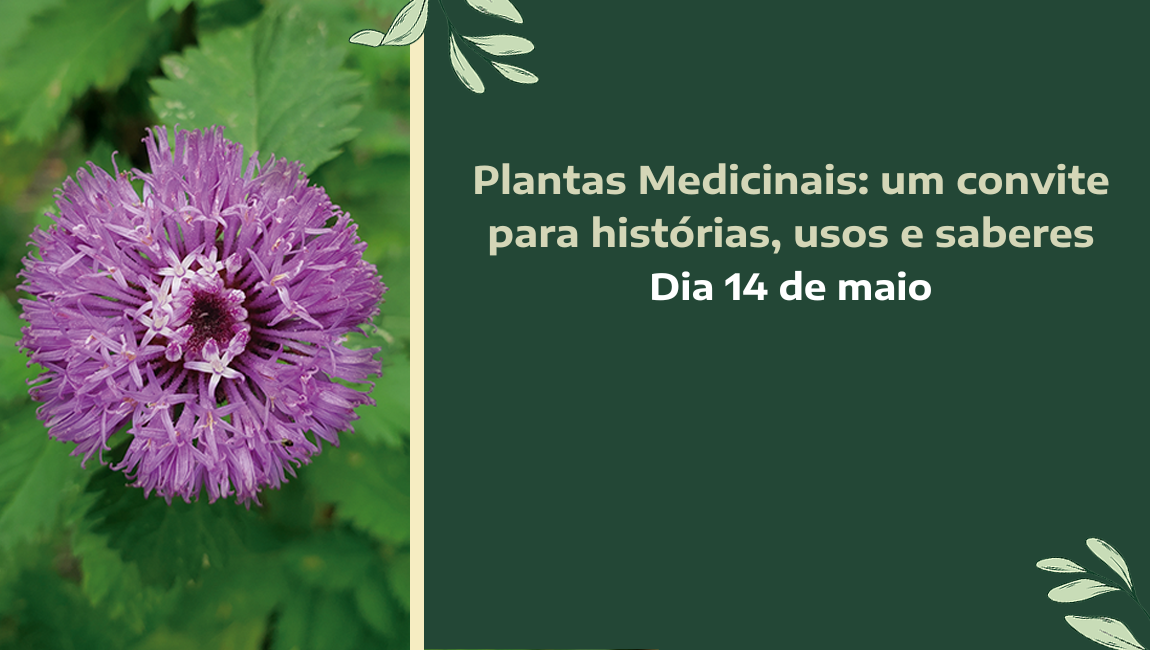 Jardim Botânico do Rio de Janeiro promove evento sobre plantas medicinais