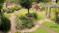 Jardim Botânico do Rio e Terral Jardinagem promovem oficina gratuita de cultivo de cactos e suculentas
