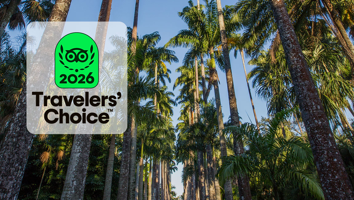 Jardim Botânico do Rio figura entre as três atrações mais bem avaliadas da cidade e conquista prêmio Travelers' Choice
