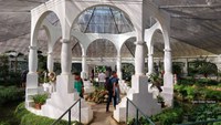 Jardim Botânico do Rio oferece visitas guiadas ao Orquidário em cinco idiomas