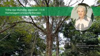 Jardim Botânico do Rio promove a Trilha das Mulheres em homenagem a uma das pesquisadoras pioneiras da instituição