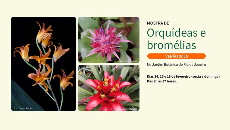 banner orquideas e bromelias.jpg