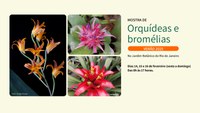 Jardim Botânico do Rio promove Mostra de Orquídeas e Bromélias Verão 2025