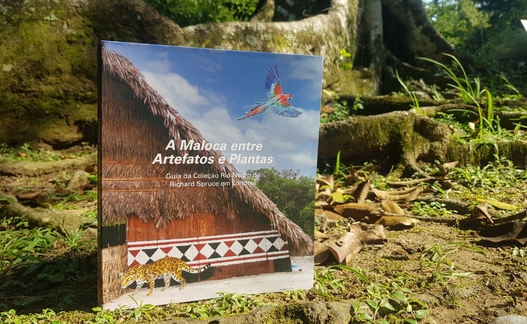 A Maloca entre Artefatos e Plantas