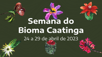 Jardim Botânico do Rio promove Semana da Caatinga de 24 a 29 de abril