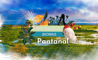 Jardim Botânico do Rio promove semana de atividades sobre o Pantanal a partir deste domingo (6/11)