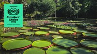 Jardim Botânico do Rio recebe o Travellers' Choice 2023 por serviços oferecidos aos visitantes